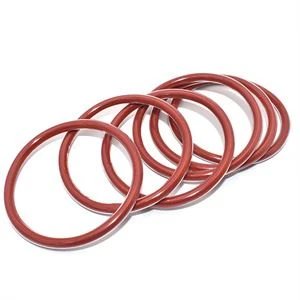 Standard FEP/PFA Encapsulated O-Rings
